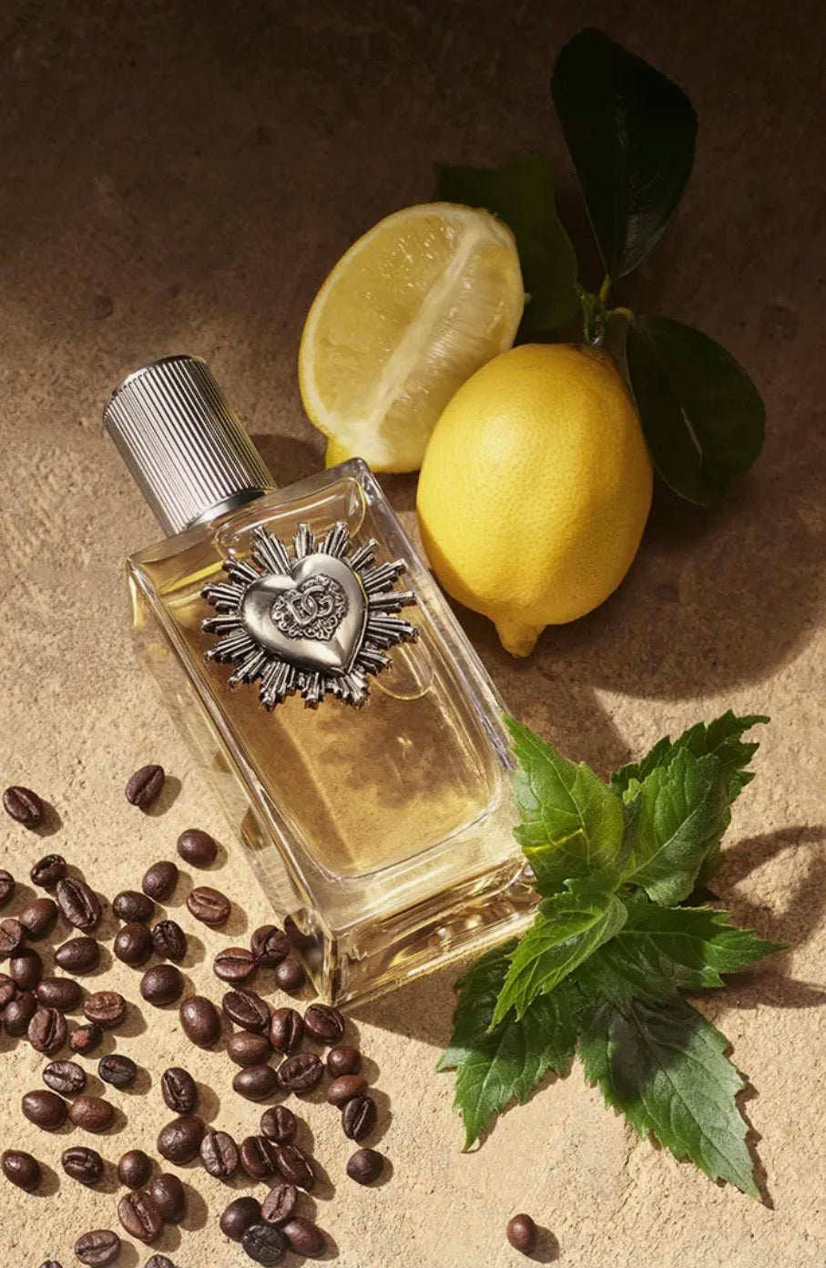 Devotion For Men Eau de Parfum
Dolce & Gabbana 3.3oz